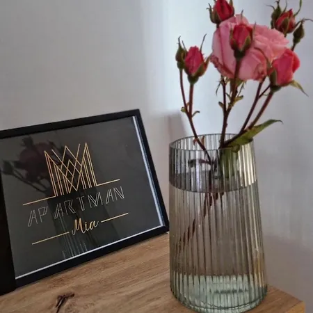 Stan Na Dan-apartman Mia Lukavica